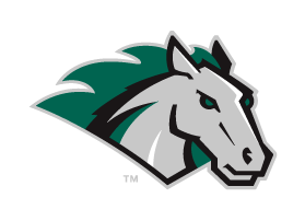 Mustang Baseball Camp